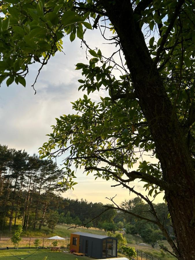 Swiety Spokoj Bielinek Cedynia Exterior foto